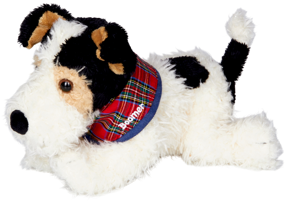 4029753169341_1 Foxterrier Boomer - Lustige Tierparade