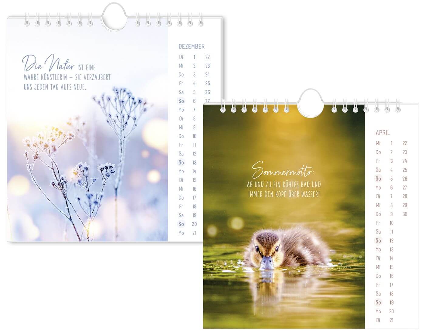 Postkartenkalender 2026 Lichtblicke Postkartenkalender 2026 Lichtblicke