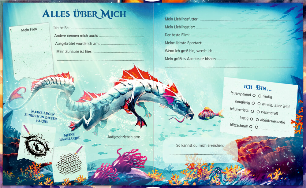 Freundebuch: Drachen - Meine Freunde