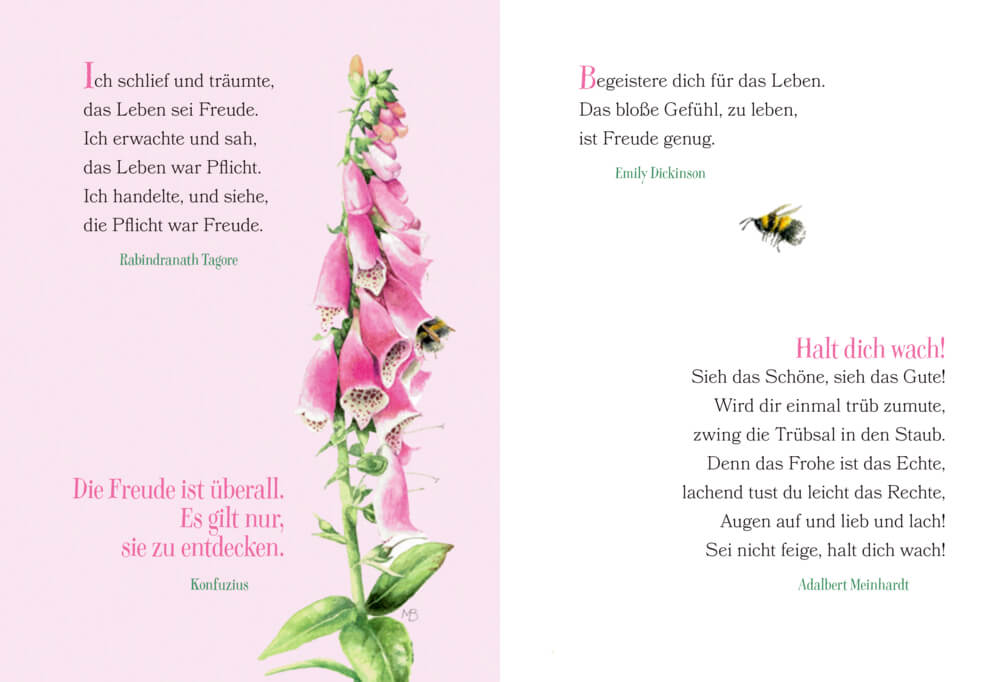 Schöne Grüße: Ich wünsch dir Gesundheit, Glück ... (M. Bastin)