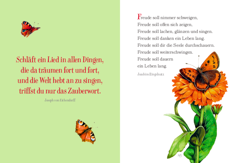 9783649641827_2 Schöne Grüße: Alle Vögel singen heute nur für dich (Bastin)