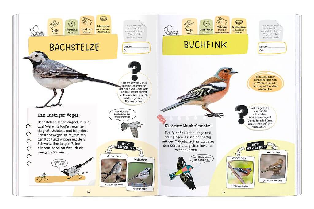 Expedition Natur - Rätseln, Stickern, Bestimmen: Vögel