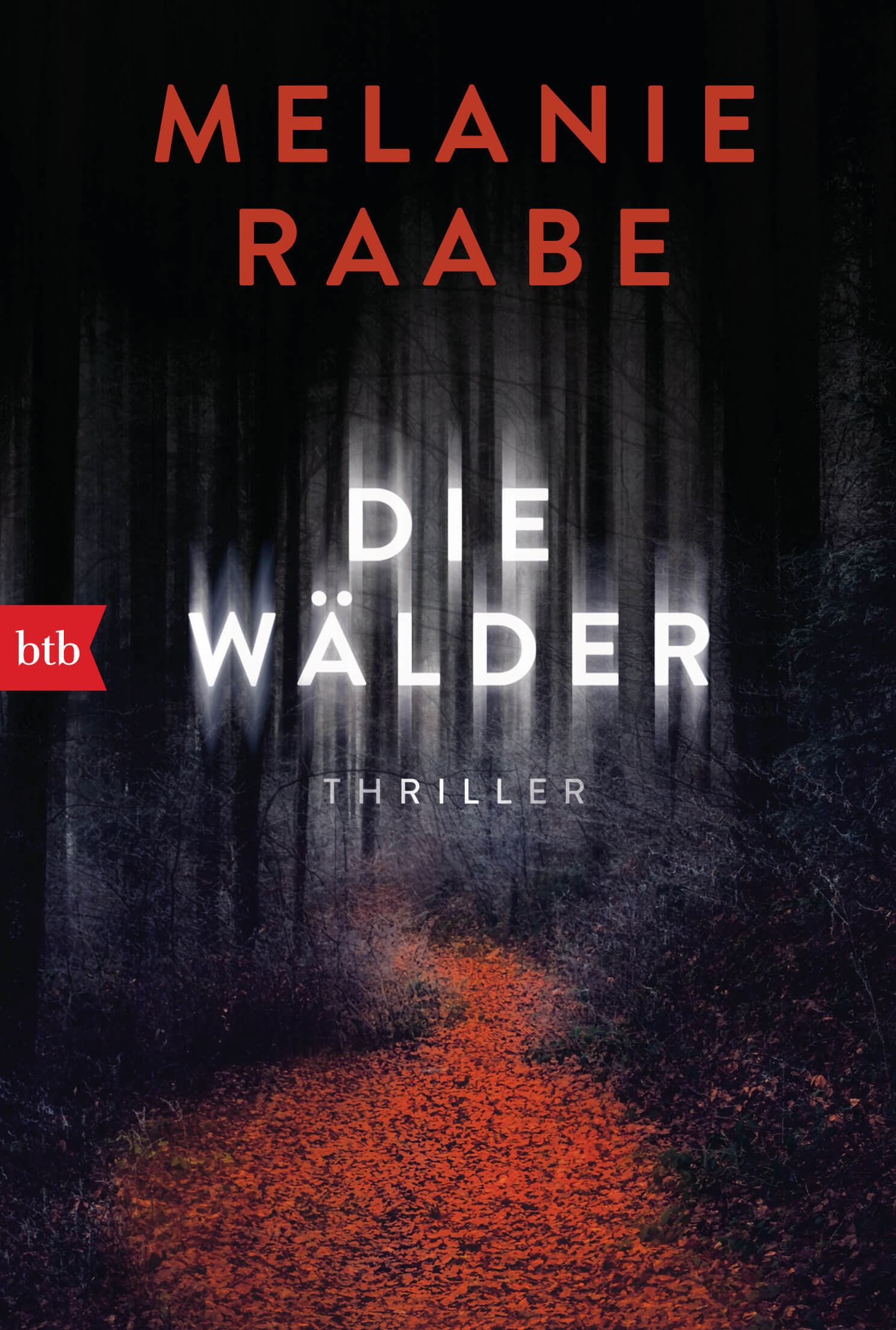 Melanie Raabe: Die Wälder