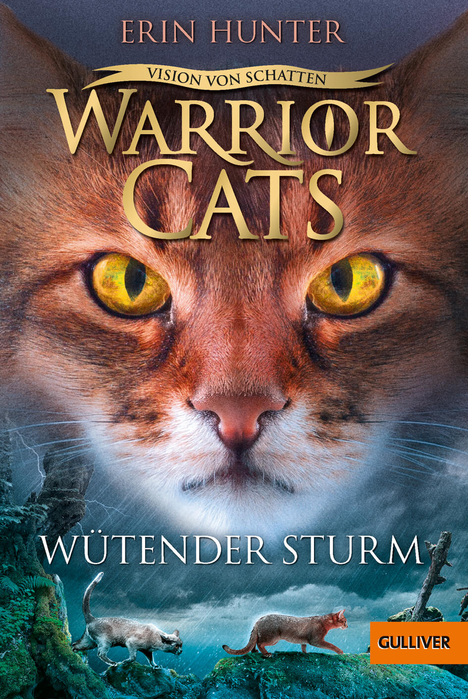 Erin Hunter: Warrior Cats 6/6 Vision von Schatten: Wütender Sturm