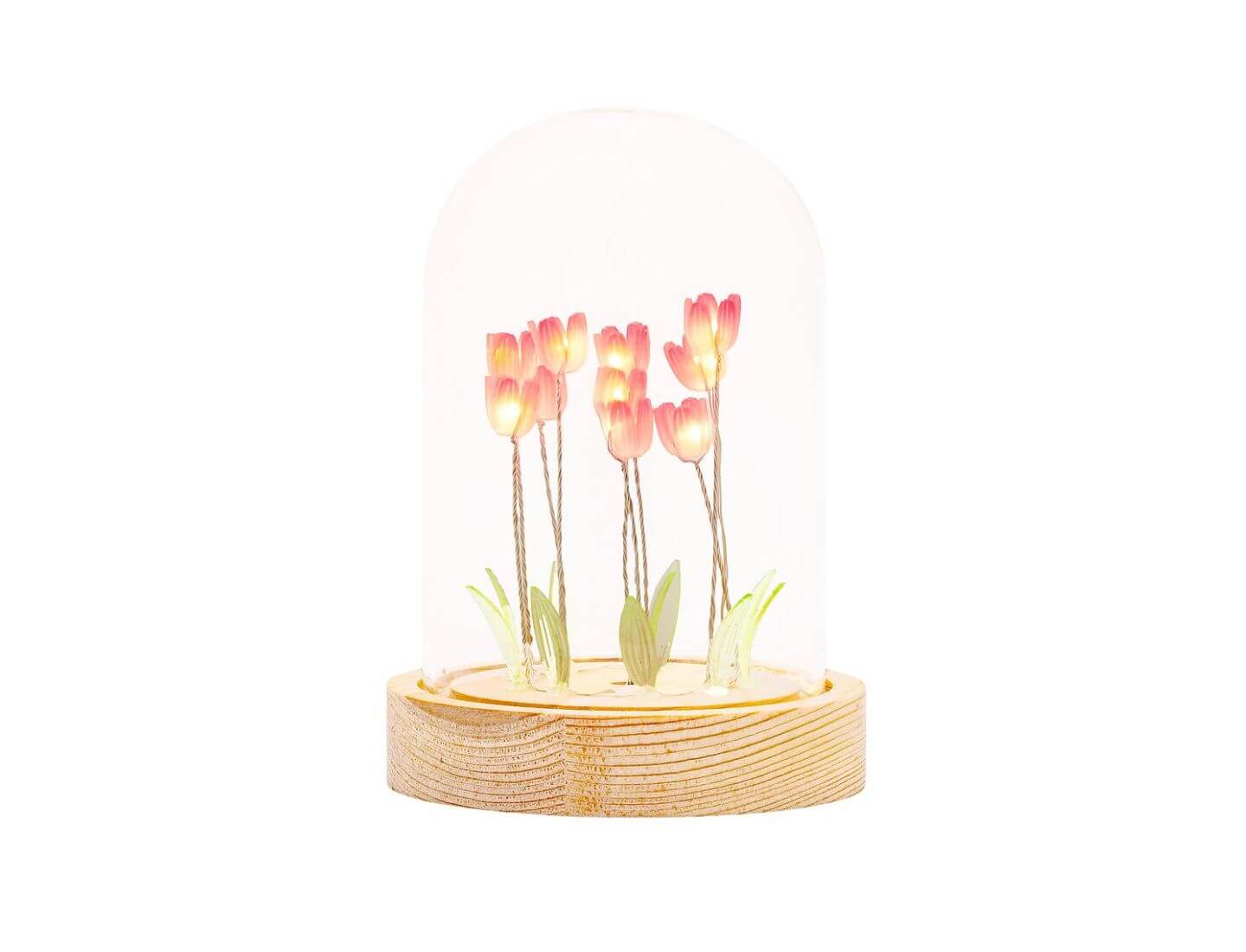 Lichterkuppel Tulpenfeld