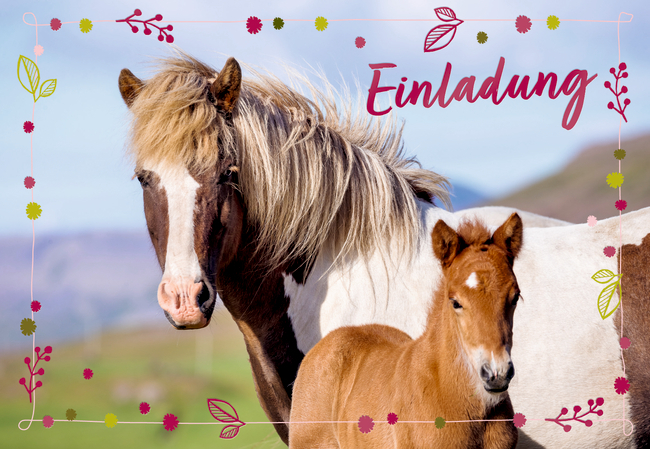 Einladungskarten Pferdefreunde - Einladung (10 Ex.sort.&Um.)
