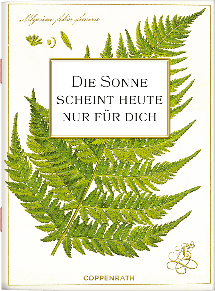 Schicke Grüße: Die Sonne scheint...für dich (Augustina)