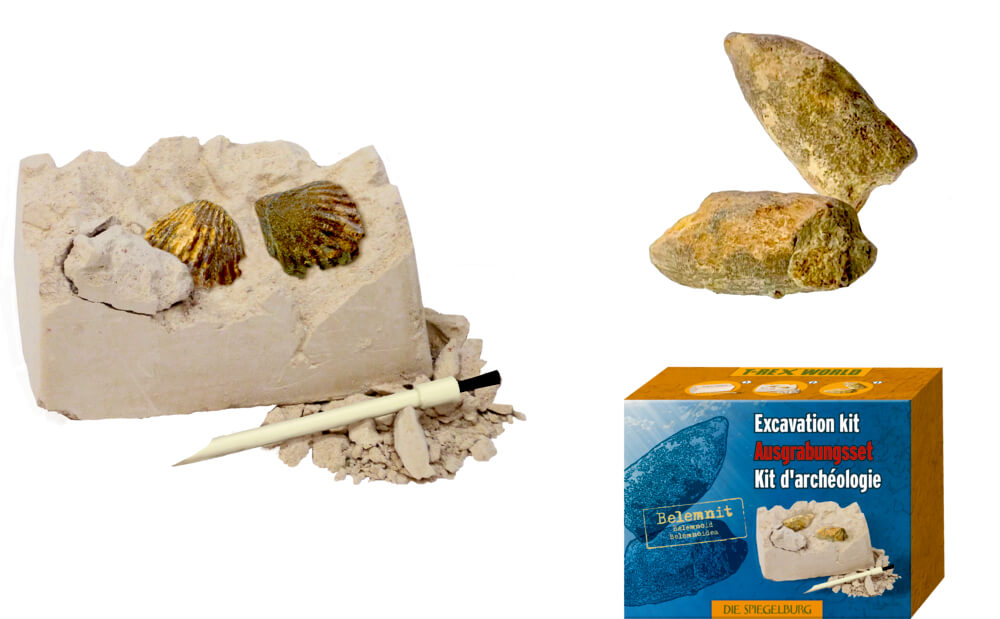 4029753180209_3 Mini-Ausgrabungsset Fossilien - T-Rex World (einzeln) versch. Motive