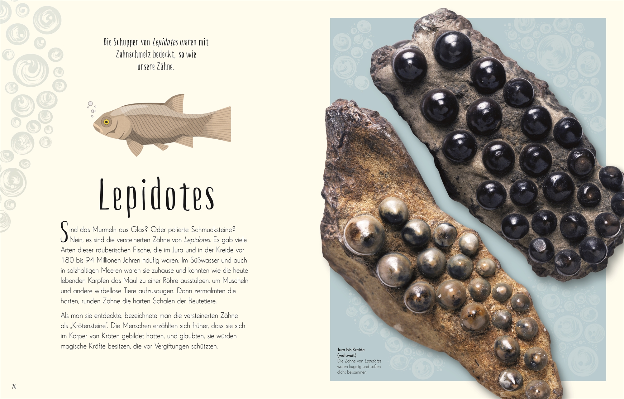 Anusuya Chinsamy-Turan, Angela Rizza (Illustr.), Daniel Long (Illustr.) Wundervolle Welt der Dinosau