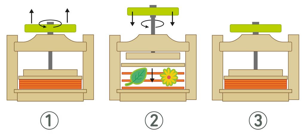 Blatt- und Blütenpresse