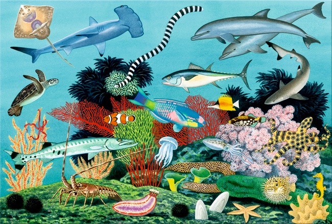 Puzzle Tiere im Meer (72 Teile)