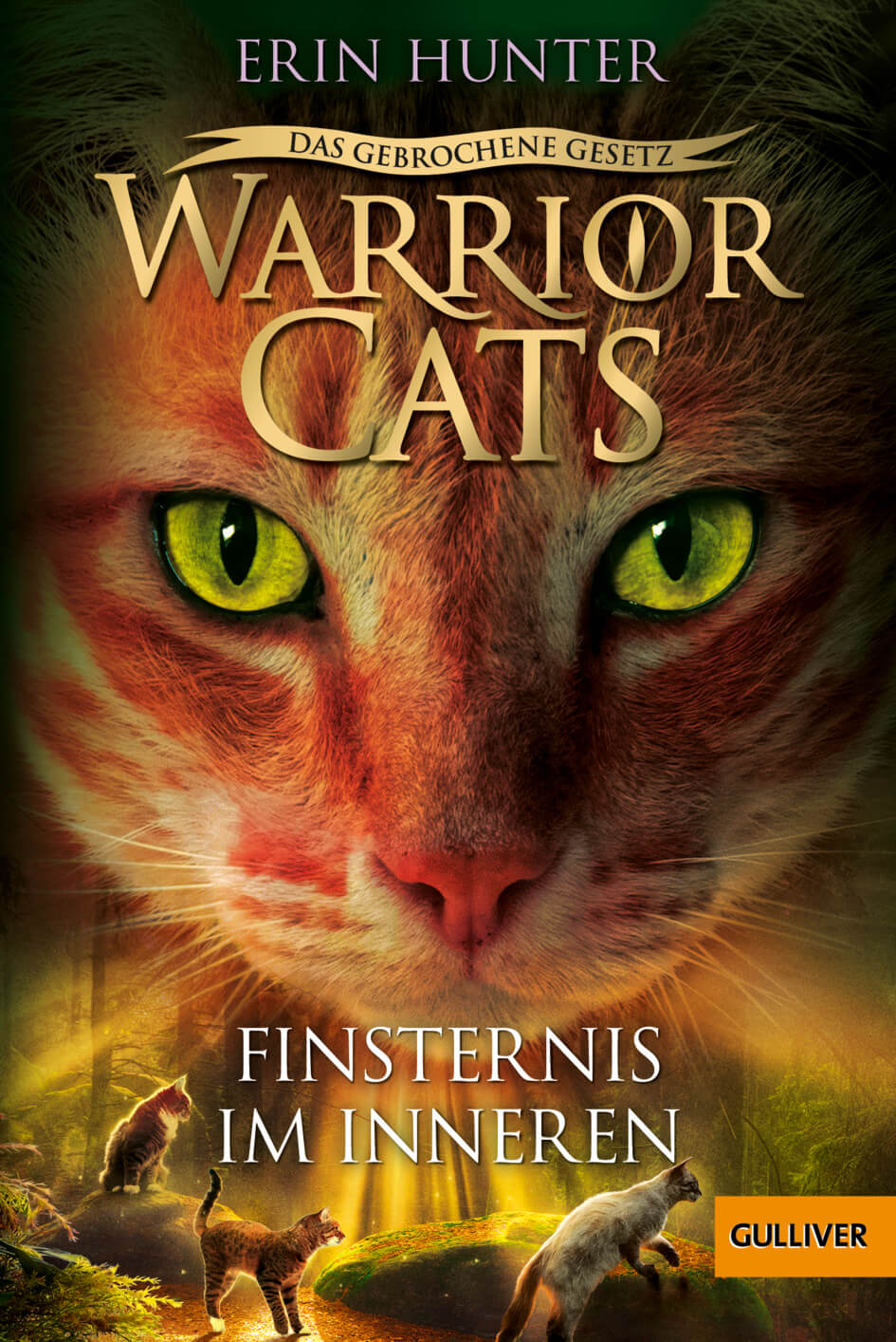 Erin Hunter: Warrior Cats 7/4 Das gebrochene Gesetz: Finsternis im Innern