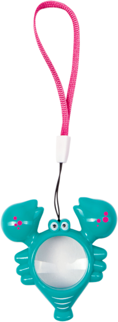 Zauberaugen Bunte Geschenke (Tiere) (einzeln)