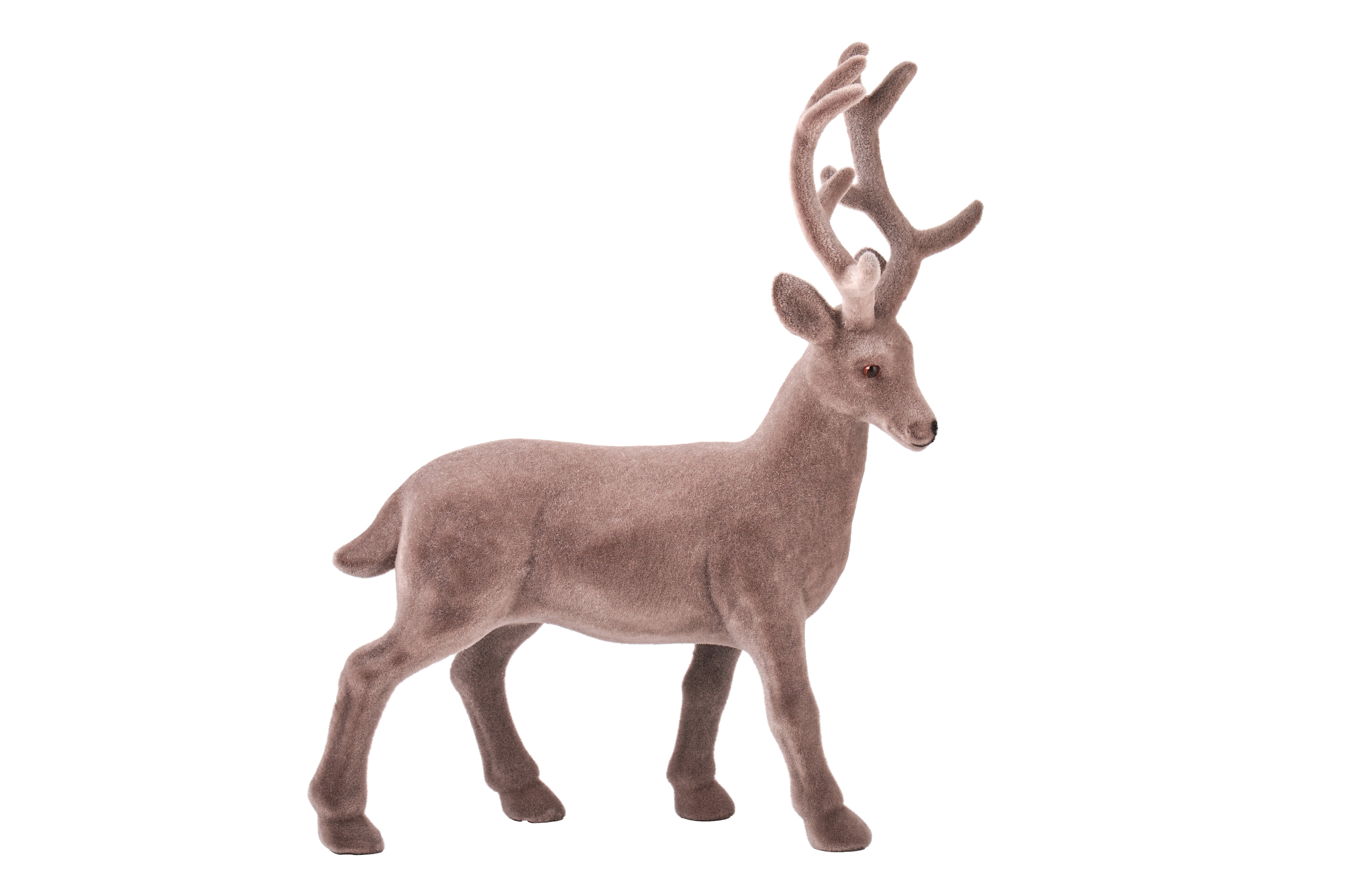Hirsch Solna, M, geflockt, grau