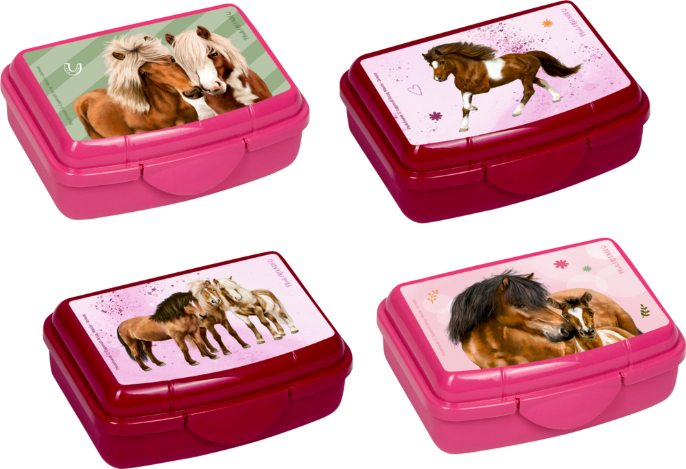 4029753181275 Mini-Snackbox - Pferdefreunde (einzeln)