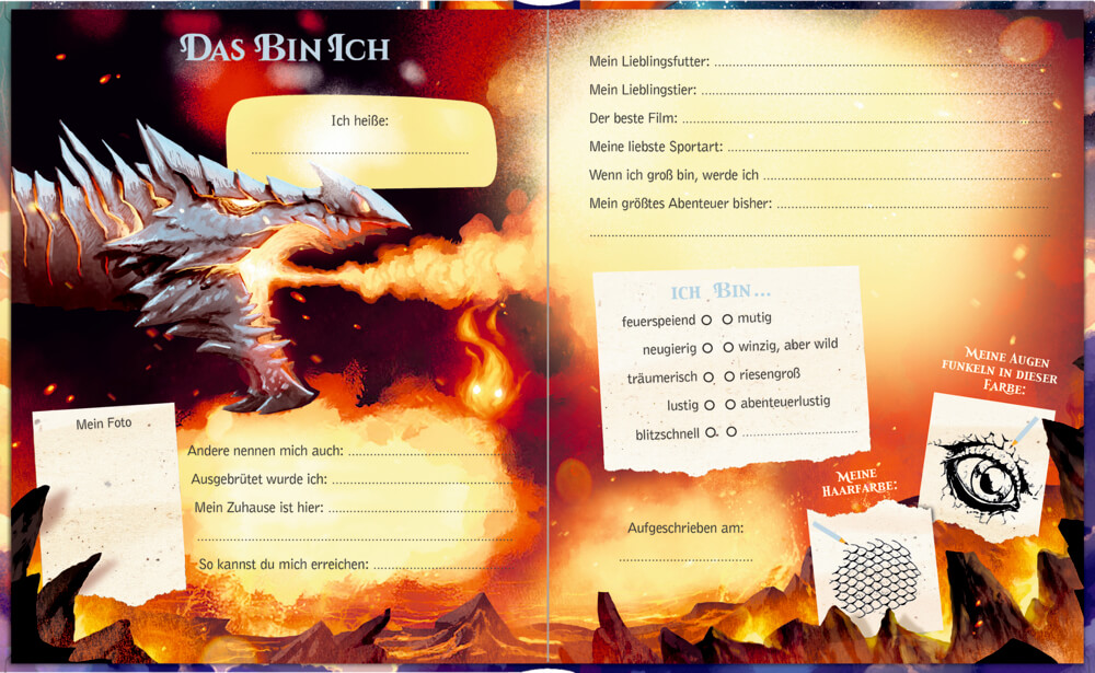 Freundebuch: Drachen - Meine Freunde