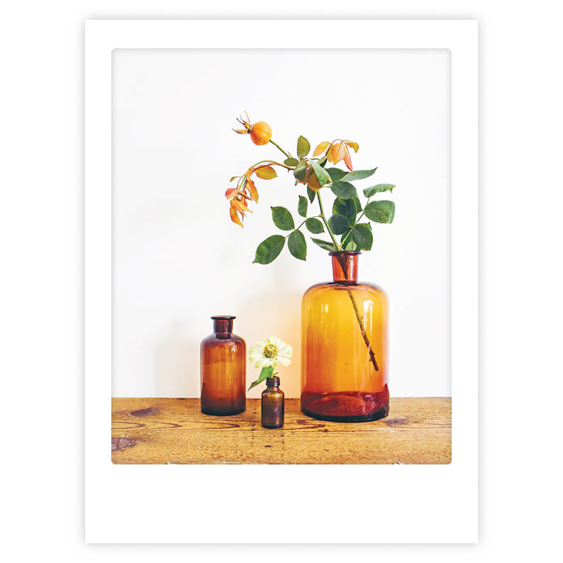 Art Poster Orange Blossoms
