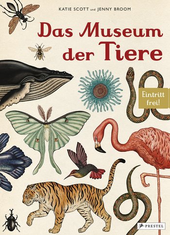 Jenny Broom: Das Museum der Tiere