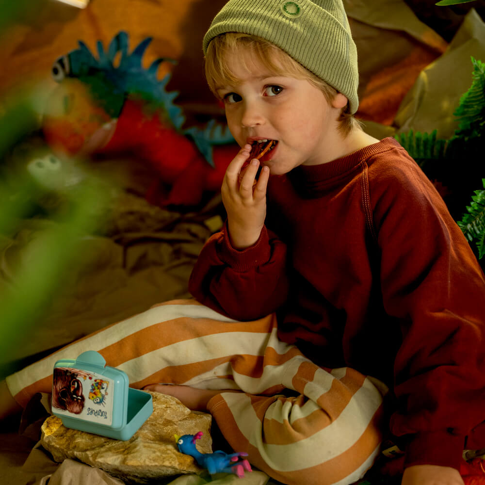 Mini-Snackbox - Furzipups