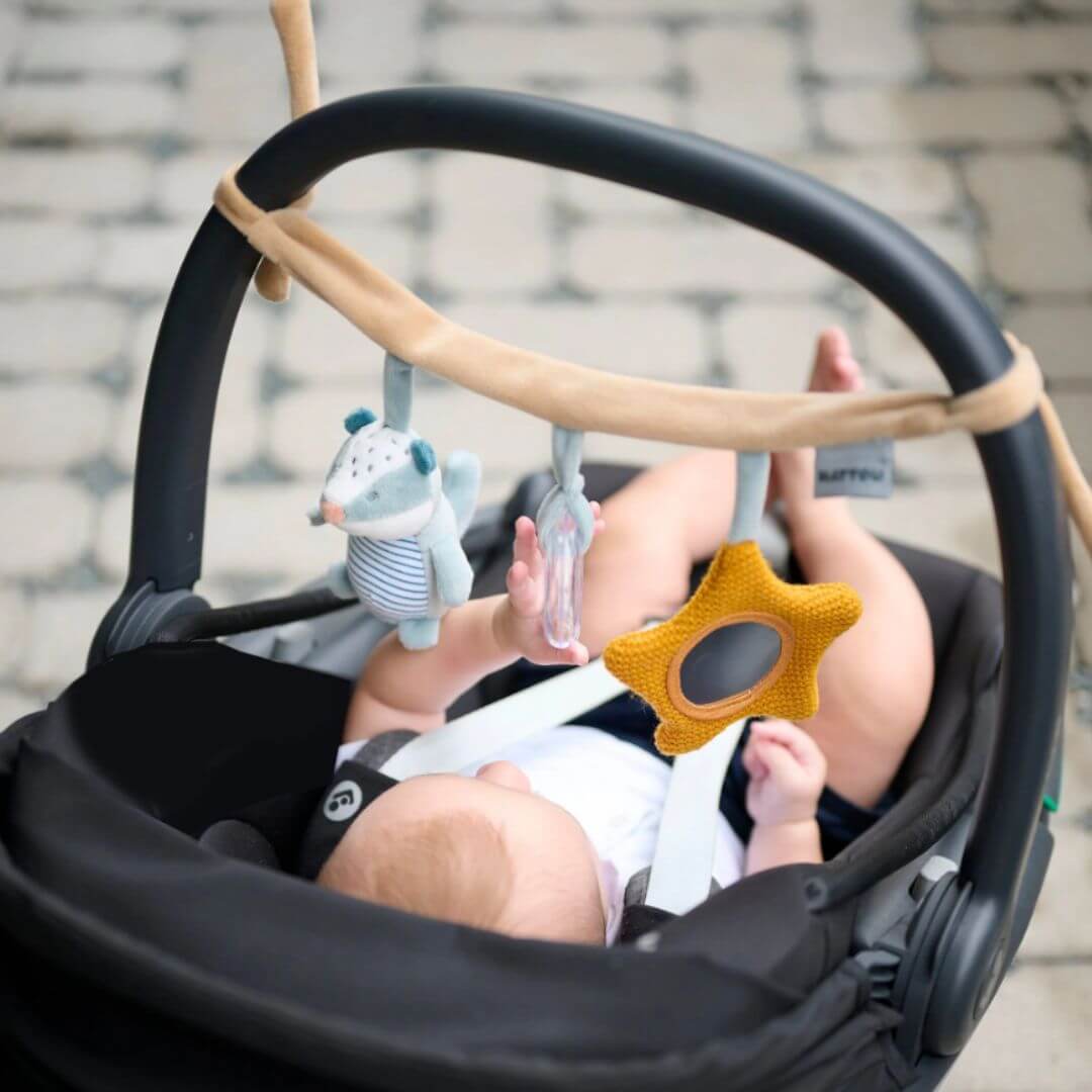 kinderwagen-kette-dachs-2-1 Kinderwagenkette Dachs