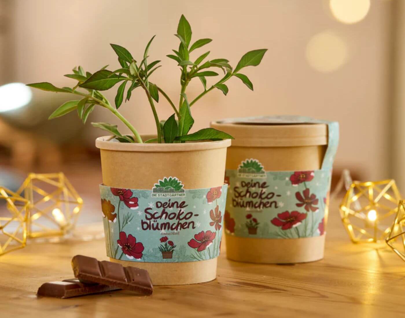 Schokoblumen aus dem Becher