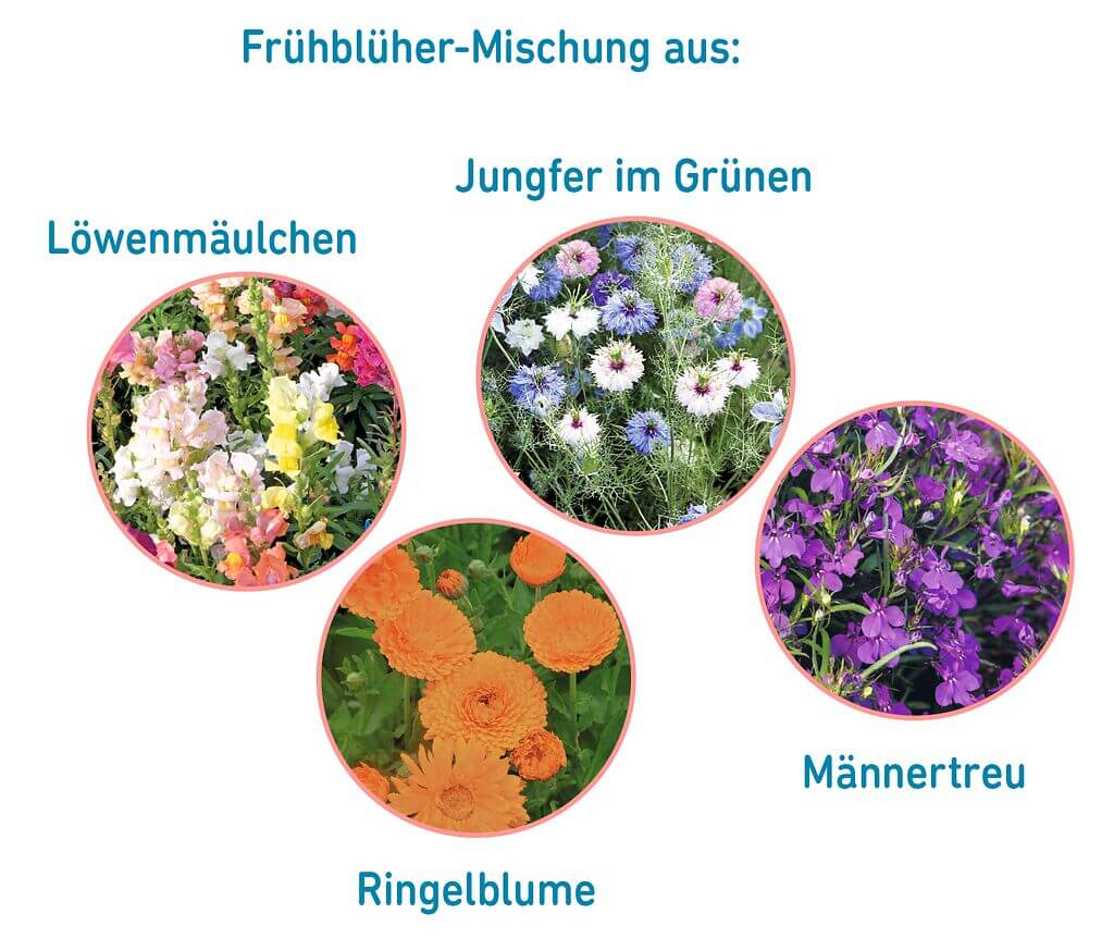 Anzuchtset Gießkanne Frühlingsgrüße