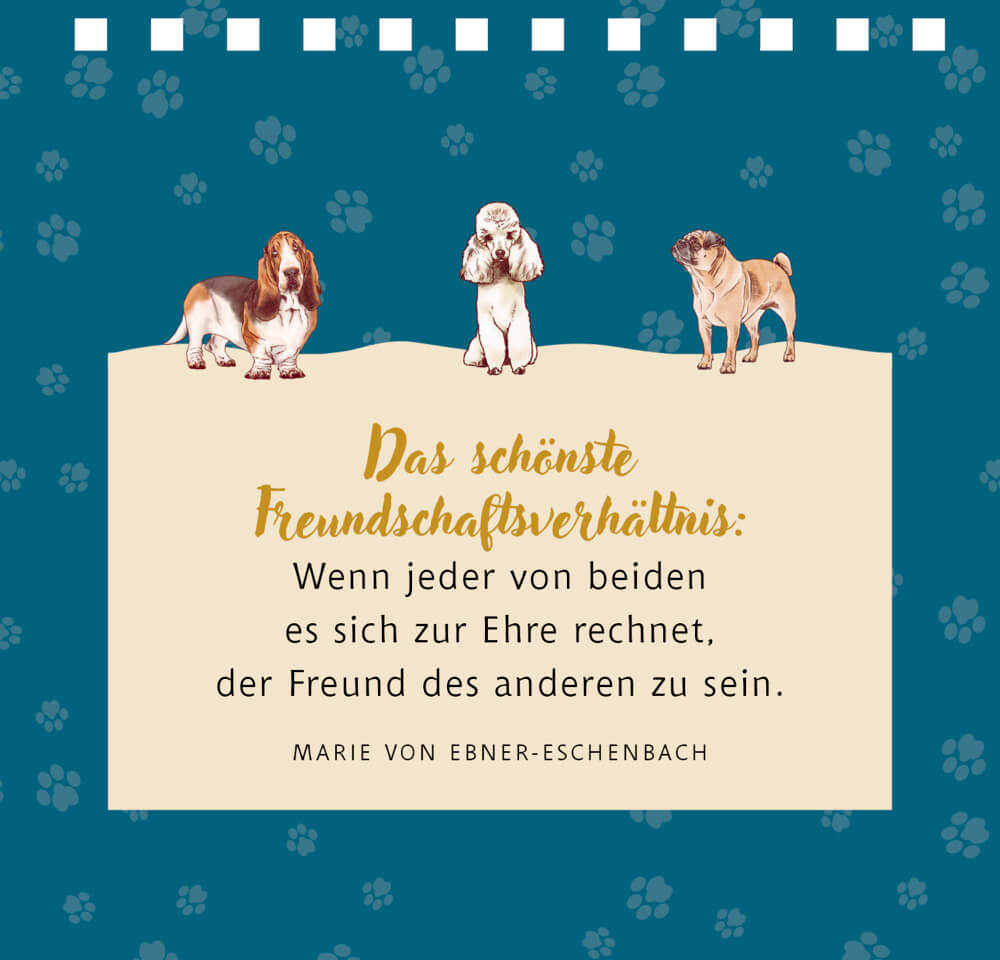 9783649646044_01 Kleines Spiralaufstellbuch: Tierisch beste Freunde (cats & dogs)
