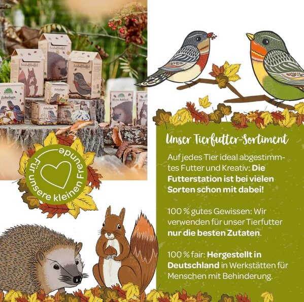 Die Stadtgärtner - Sonnenblümchen