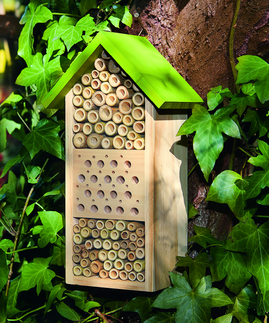 Expedition Natur Bienenhotel