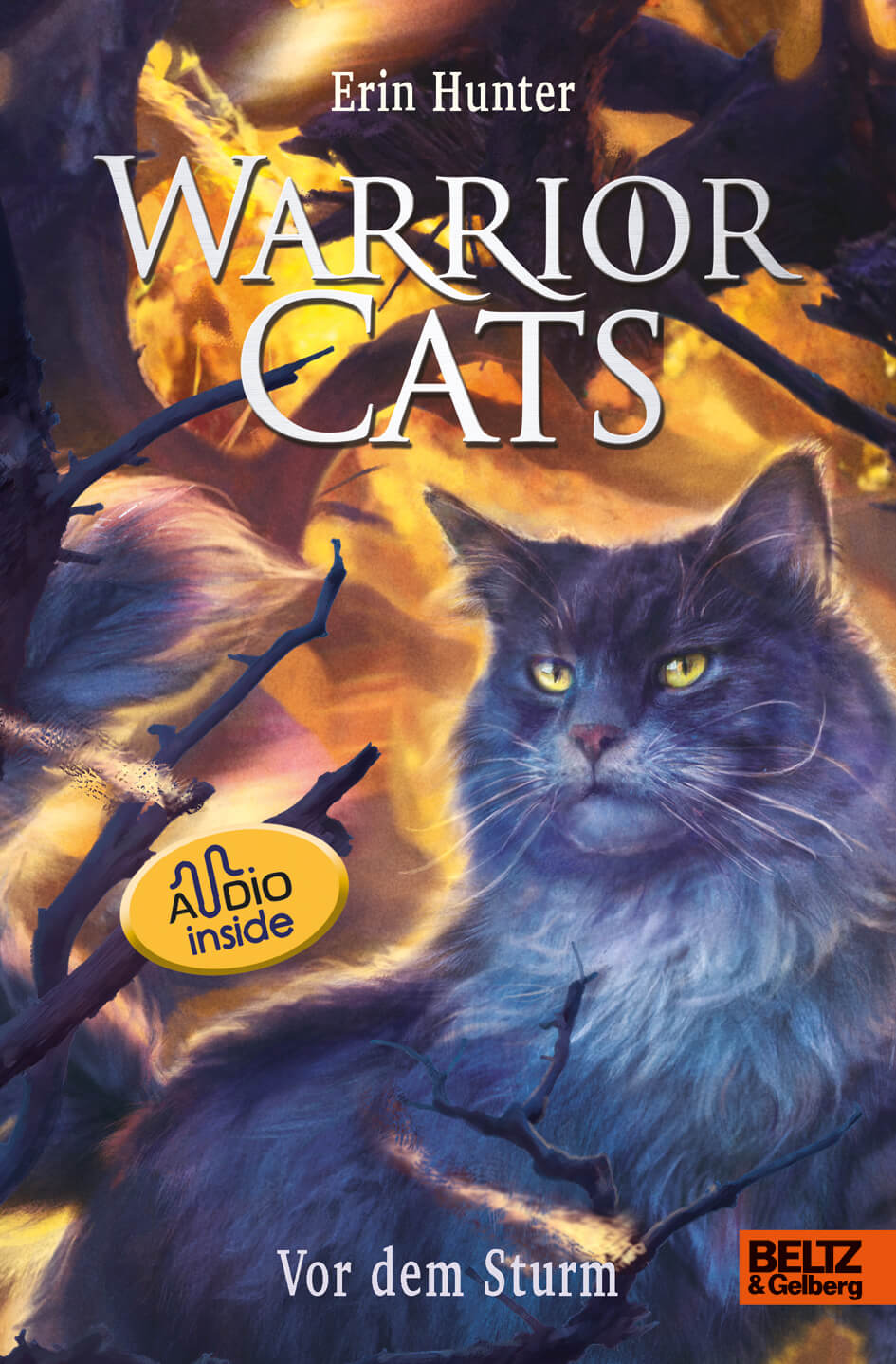 Erin Hunter: Warrior Cats 1/4 - Vor dem Sturm