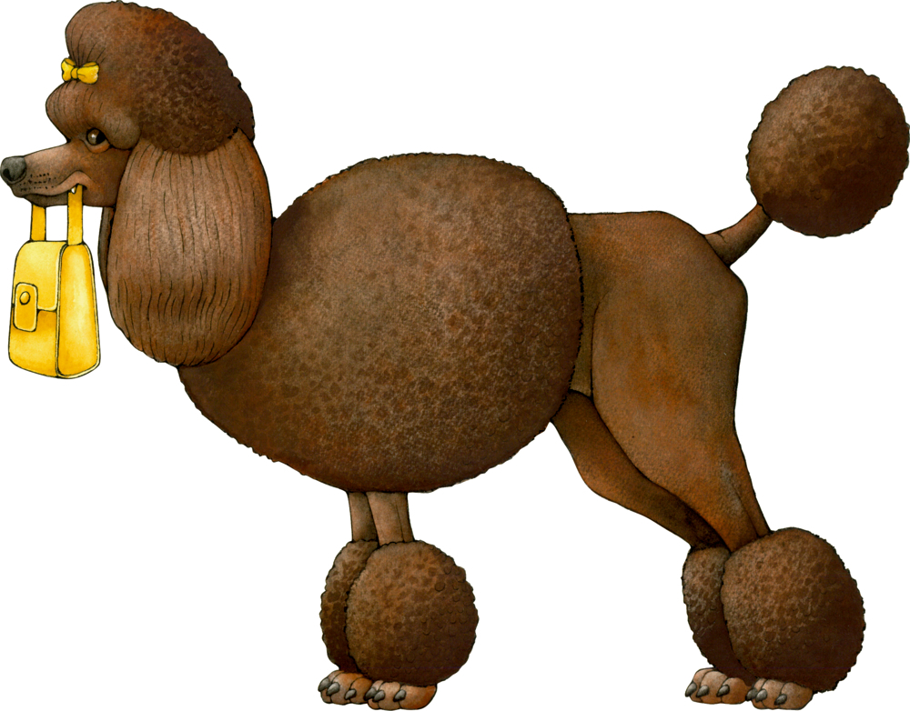 9783649641995_2 Das verrückte Hunde-Klappbuch