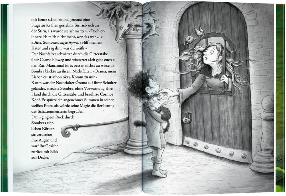 Cosmo Zauberkater (Bd.3) - Der dunkle Thron