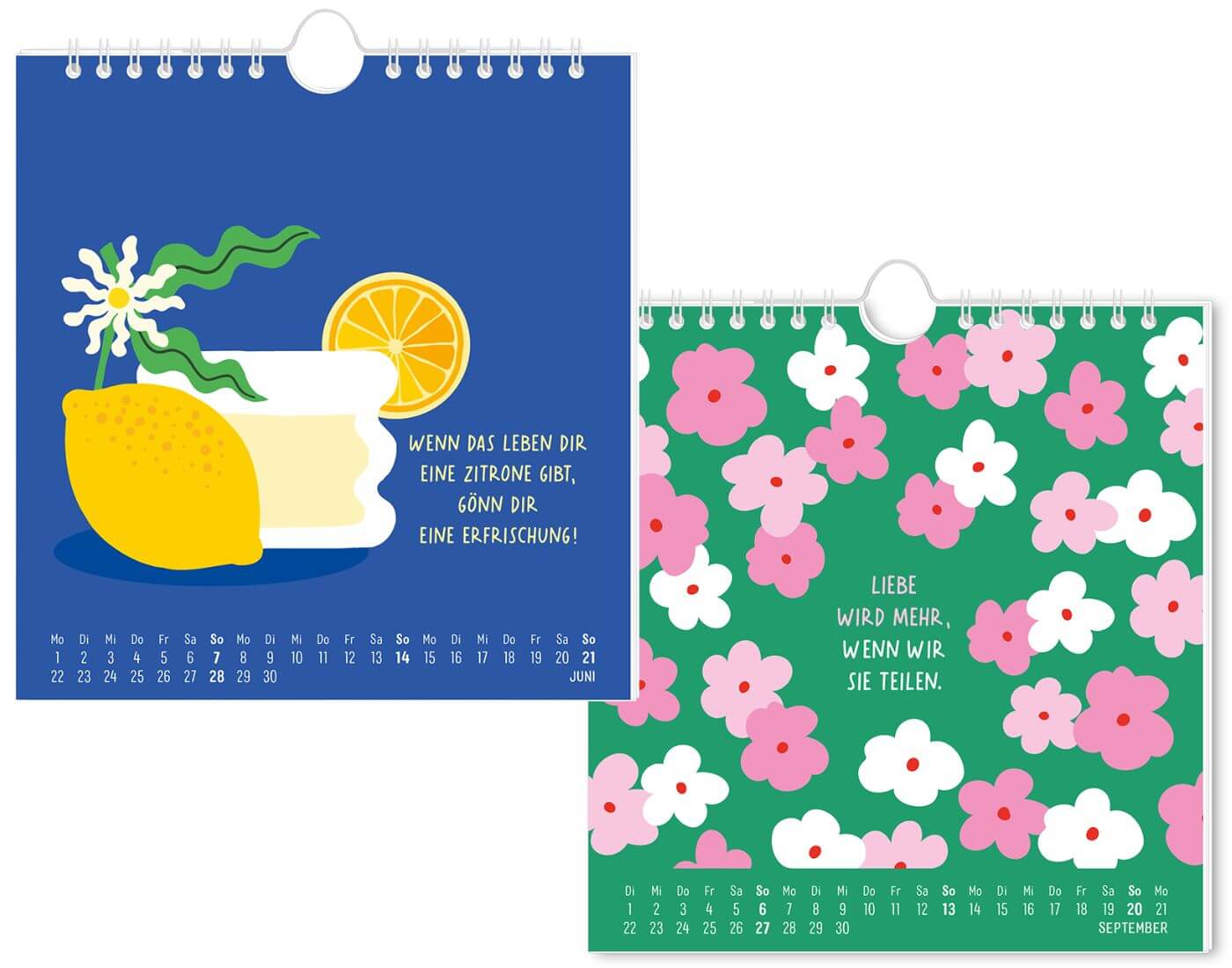 Postkartenkalender 2026 Herzensjahr
