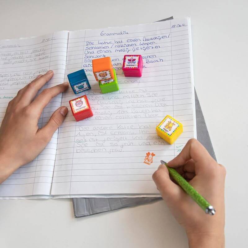 954817_f-1 Lehrerstempel MOTIVATION - selbstfärbend, 6-fach sortiert (einzeln)