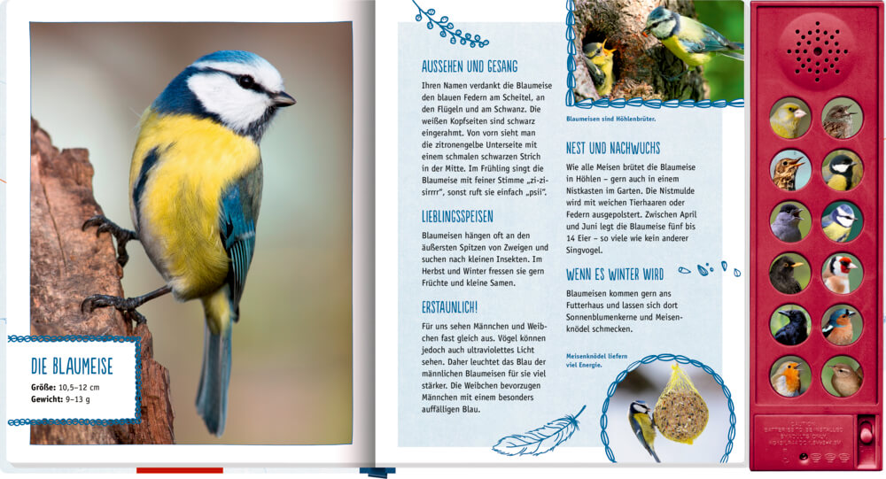 Vögel in unserem Garten (Soundbuch)