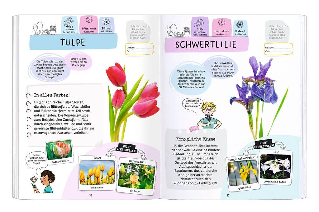 Expedition Natur - Rätseln, Stickern, Bestimmen: Blumen