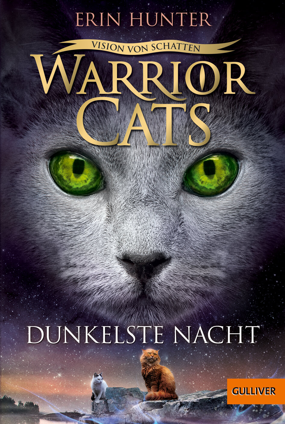 Erin Hunter: Warrior Cats 6/4 Vision von Schatten: Dunkelste Nacht