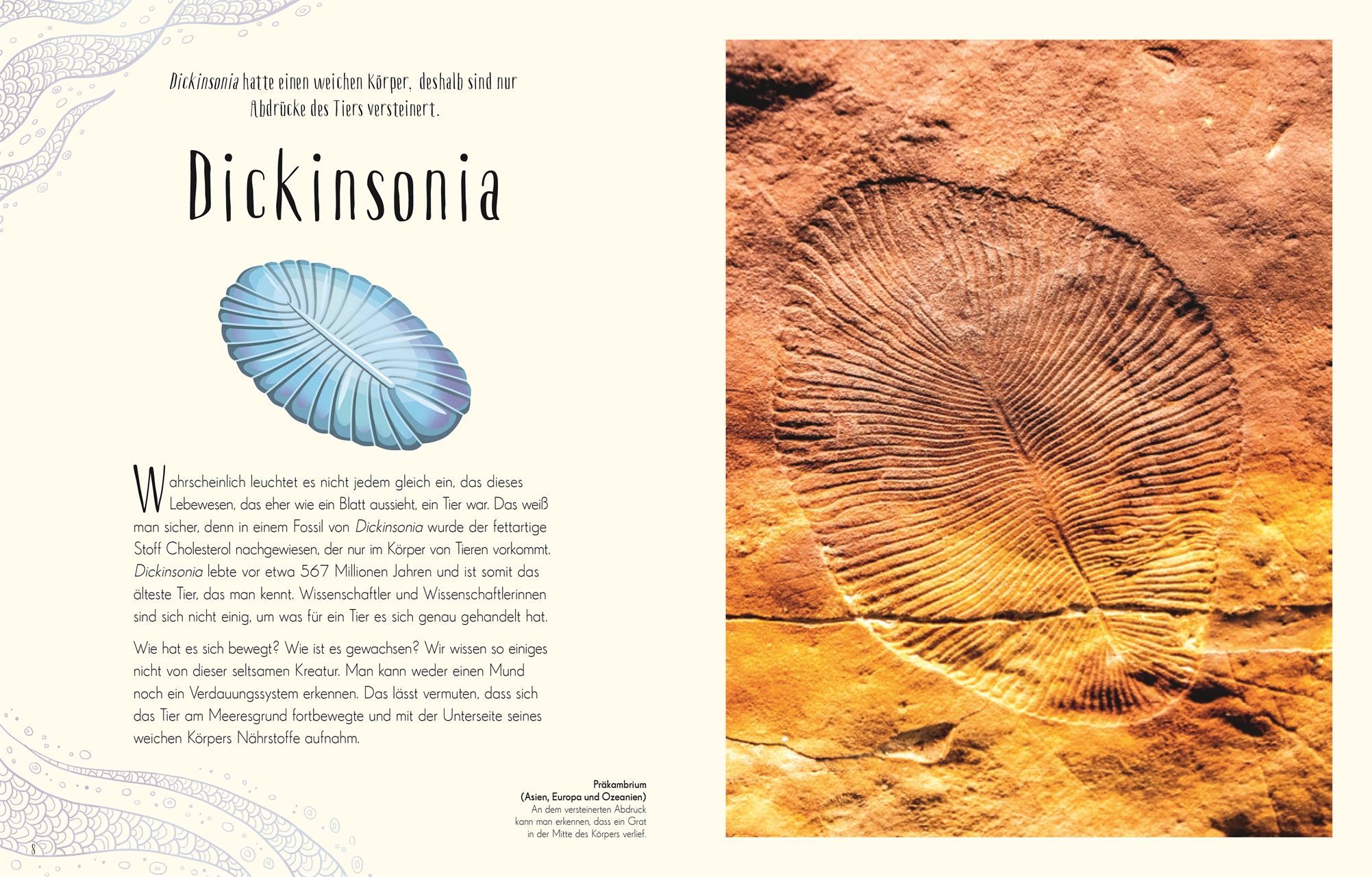 Anusuya Chinsamy-Turan, Angela Rizza (Illustr.), Daniel Long (Illustr.) Wundervolle Welt der Dinosau