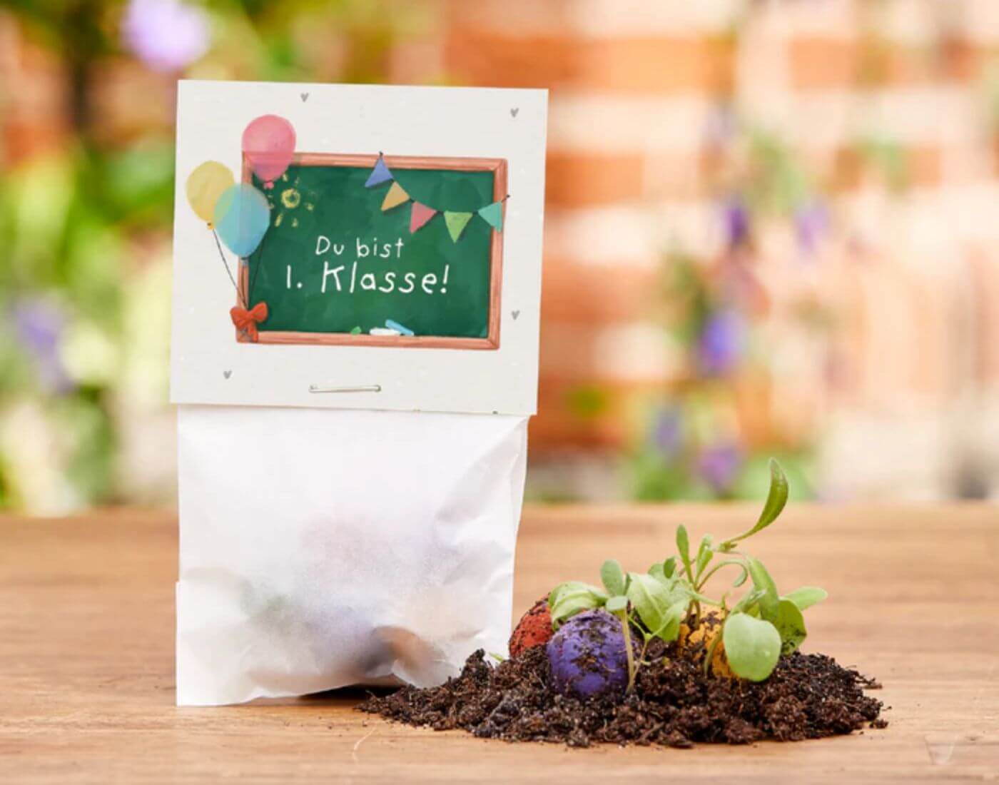 5 Blumenmurmeln im Tütchen zur Einschulung - Du bist 1. Klasse