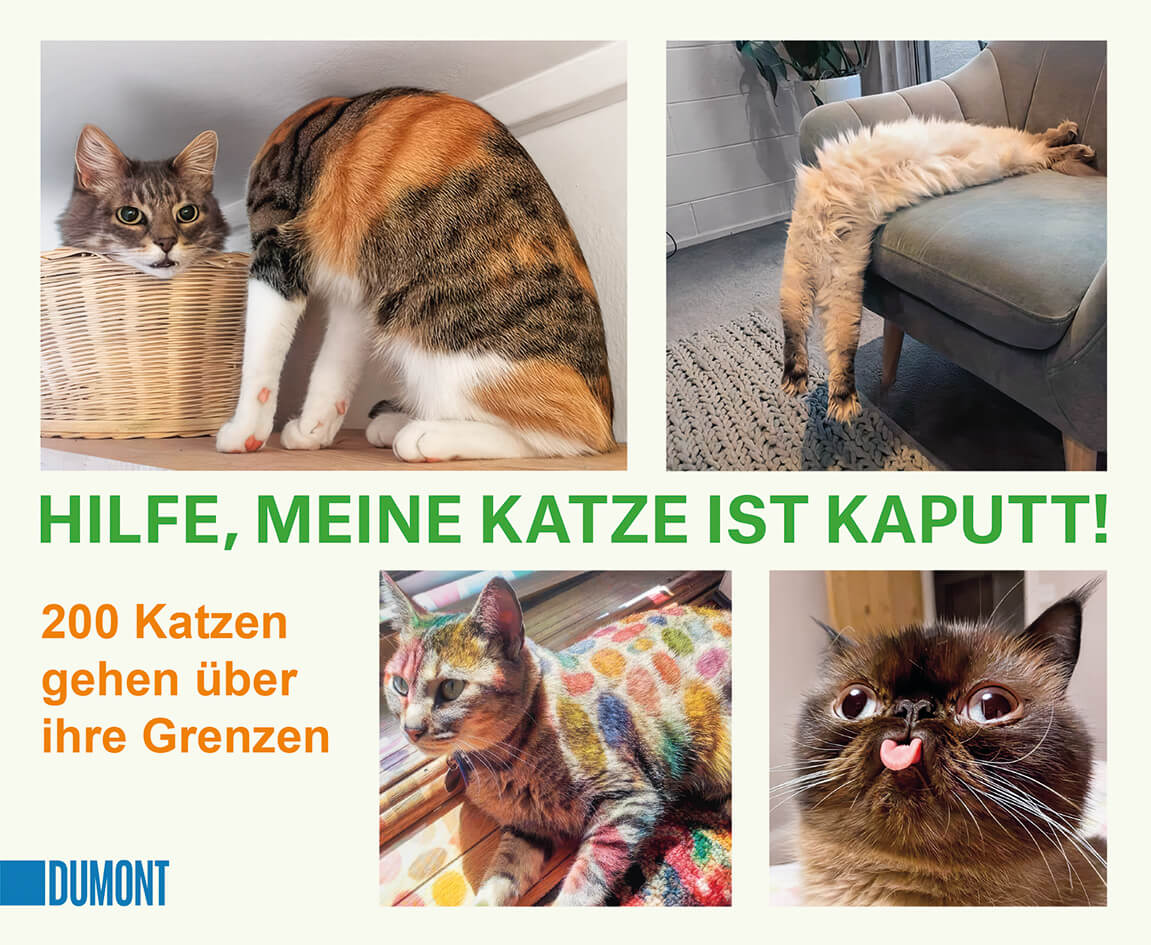 Hilfe, meine Katze ist kaputt - 200 Katzen gehen über ihre Grenzen