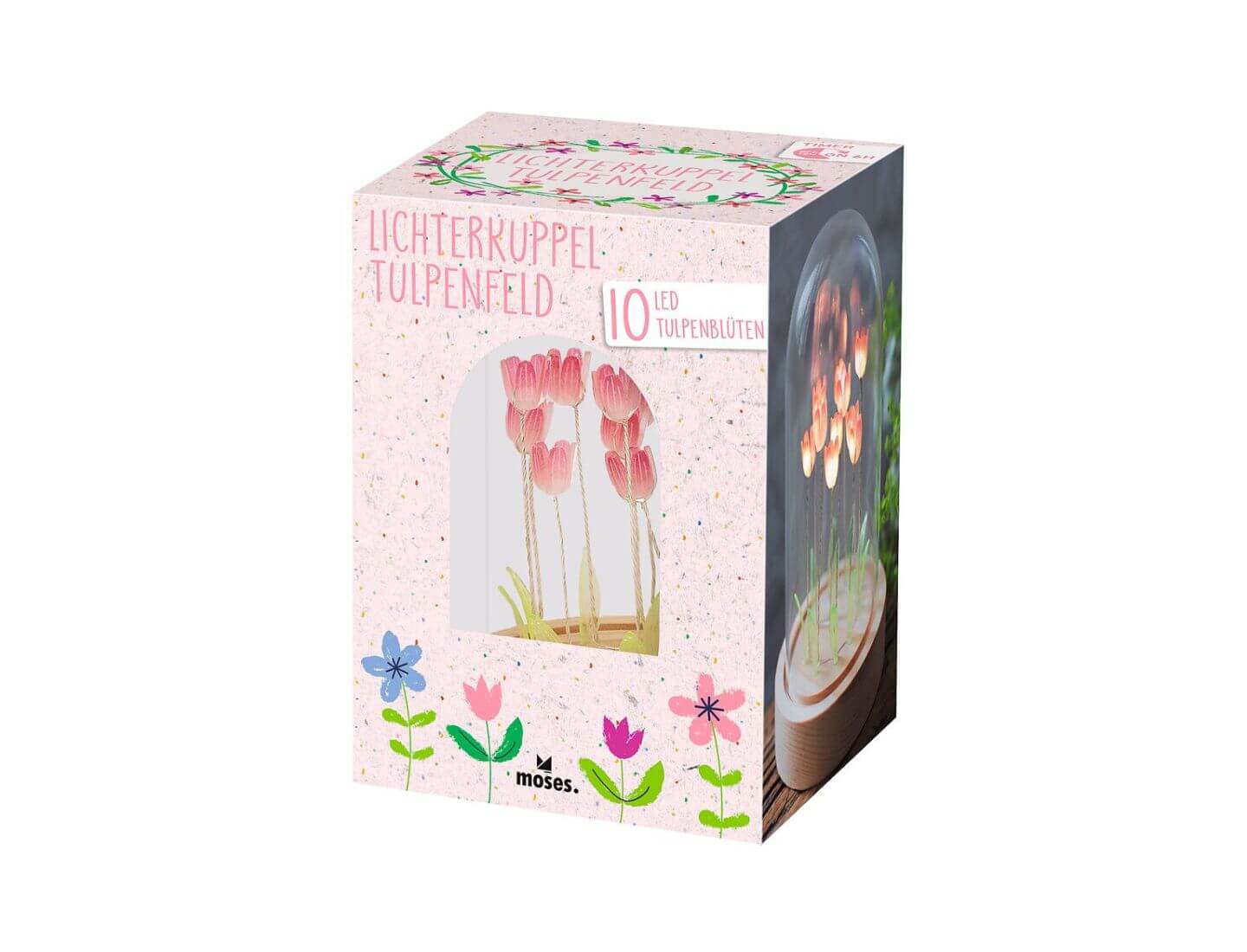 Lichterkuppel Tulpenfeld