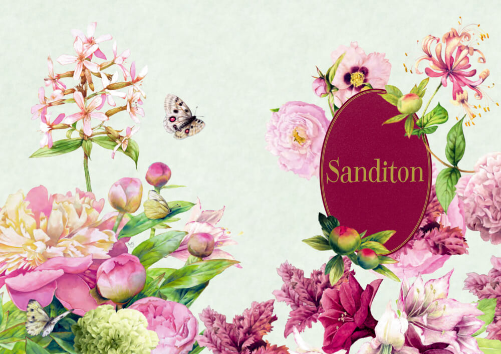 Jane Austen: Sanditon (Schmuckausgabe)