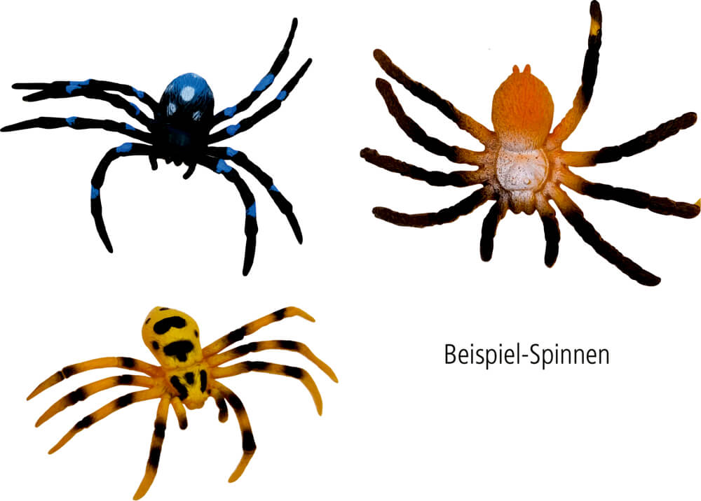 Glibberiges Spinnen-Ei - Wild+Cool (einzeln)