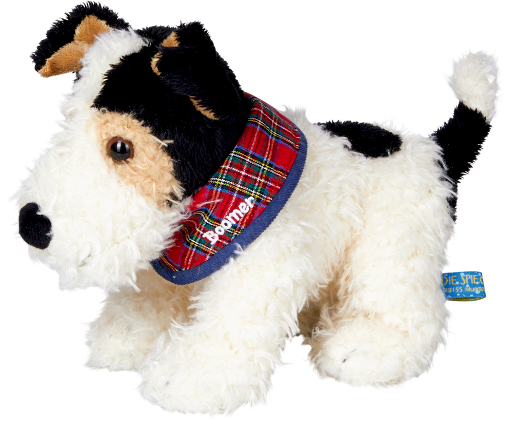 4029753169341 Foxterrier Boomer - Lustige Tierparade