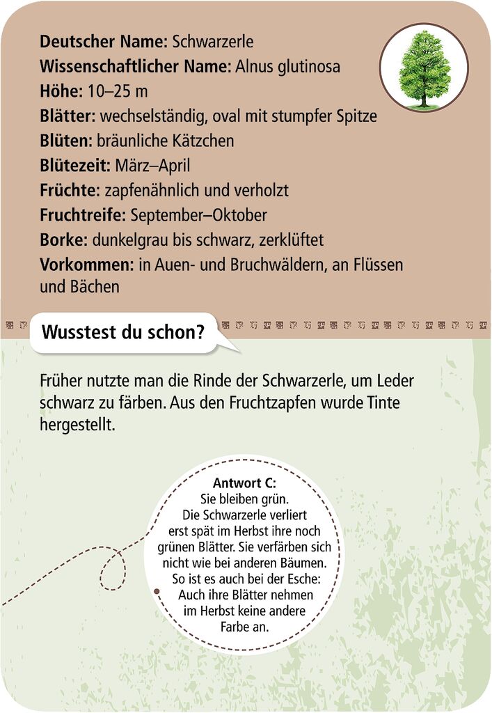 9716_Inhalt_1B Expedition Natur - 50 heimische Bäume