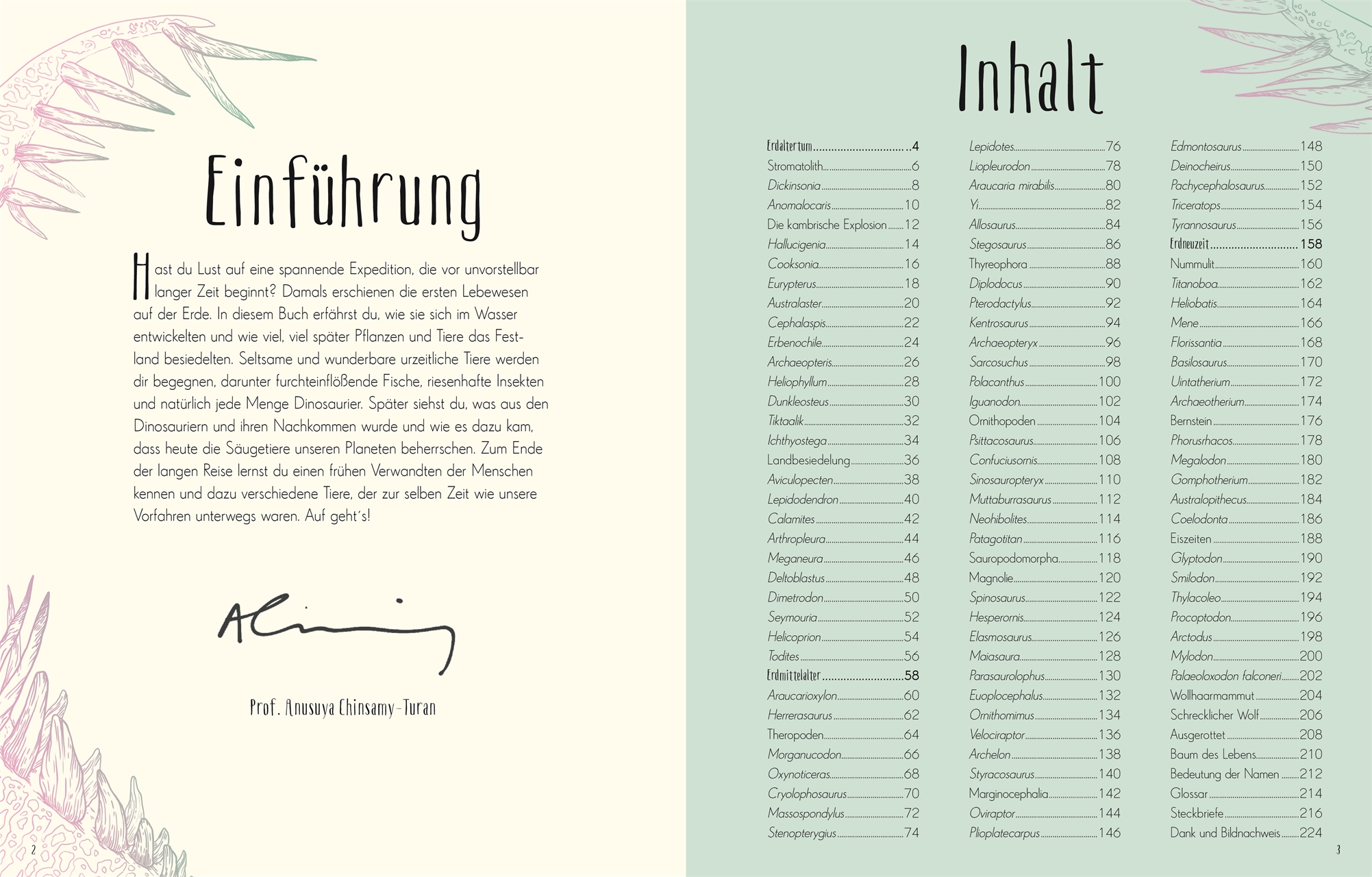 Anusuya Chinsamy-Turan, Angela Rizza (Illustr.), Daniel Long (Illustr.) Wundervolle Welt der Dinosau