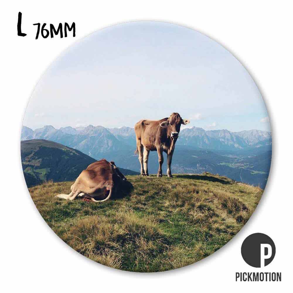 Magnet L gipfelchiller