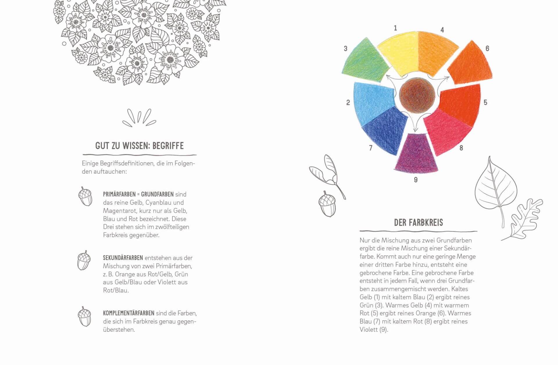 Colorful Mandala Waldspaziergang