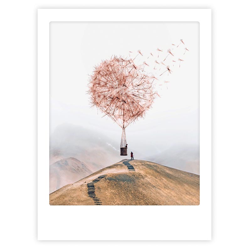 Art Poster Wenn Wünsche Fliegen Lernen