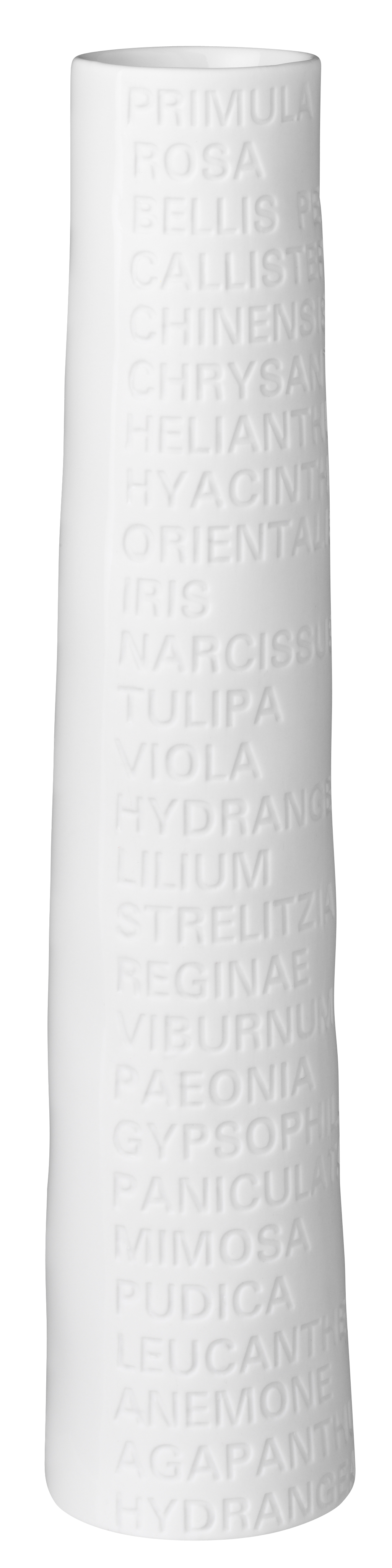 SCHMALE VASE, GROSS - TEXT
